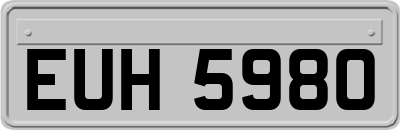 EUH5980