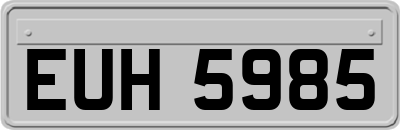 EUH5985