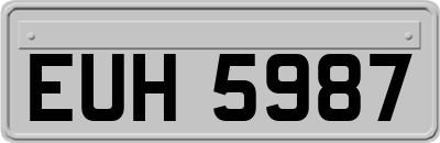 EUH5987
