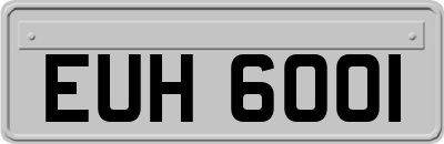 EUH6001