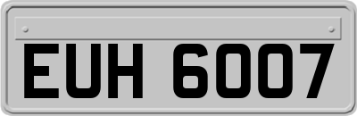 EUH6007