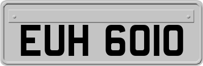 EUH6010
