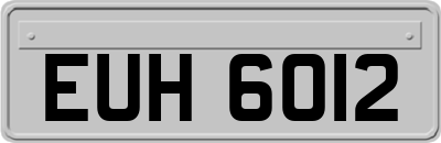 EUH6012
