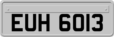 EUH6013