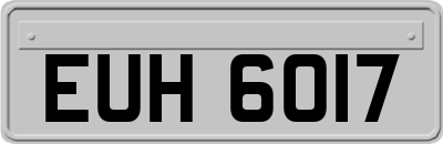 EUH6017