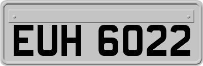 EUH6022