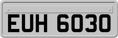 EUH6030