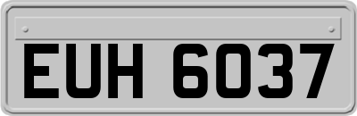 EUH6037