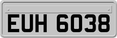EUH6038