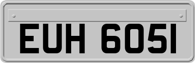 EUH6051