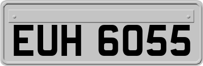 EUH6055