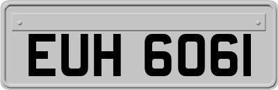 EUH6061