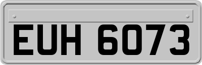 EUH6073