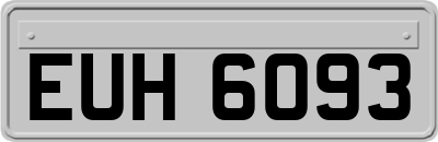 EUH6093