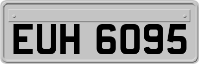 EUH6095