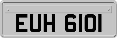 EUH6101