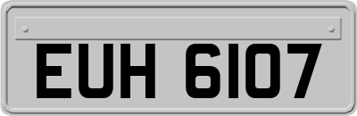 EUH6107
