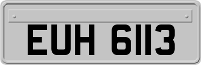 EUH6113