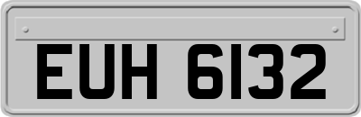 EUH6132