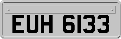 EUH6133