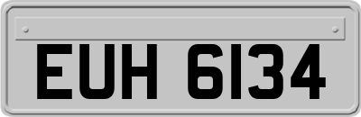 EUH6134