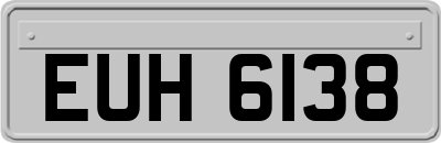 EUH6138