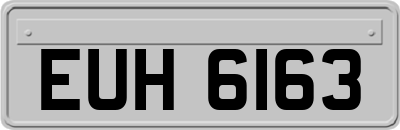 EUH6163