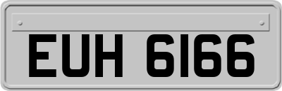 EUH6166