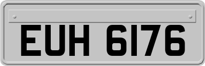 EUH6176
