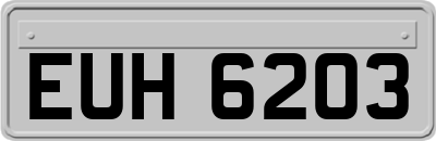 EUH6203