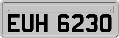 EUH6230
