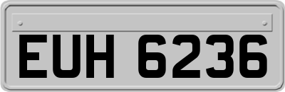 EUH6236