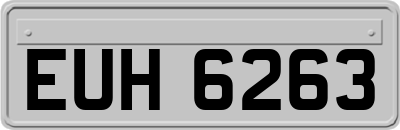 EUH6263