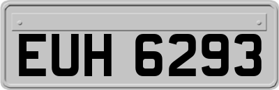 EUH6293
