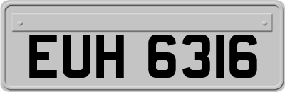EUH6316