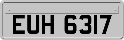 EUH6317