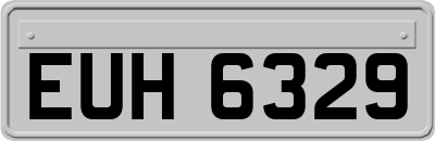 EUH6329