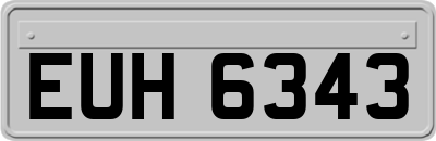 EUH6343