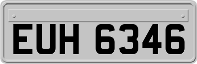 EUH6346