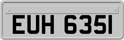 EUH6351
