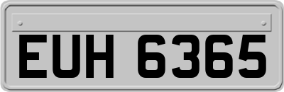EUH6365