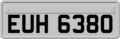 EUH6380