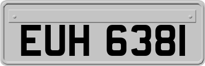 EUH6381