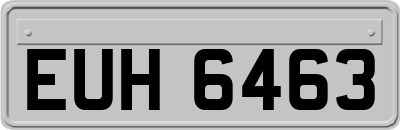 EUH6463