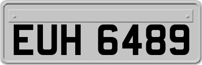 EUH6489