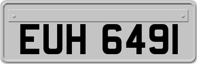 EUH6491