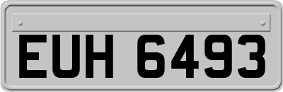 EUH6493