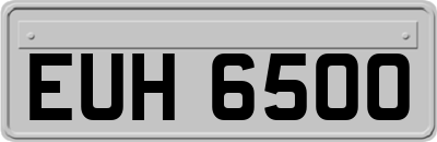 EUH6500