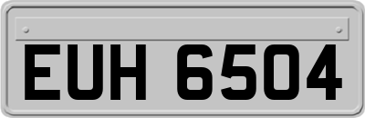 EUH6504