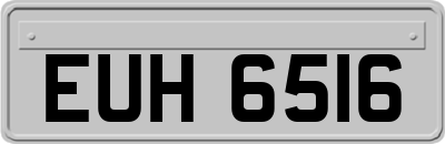 EUH6516